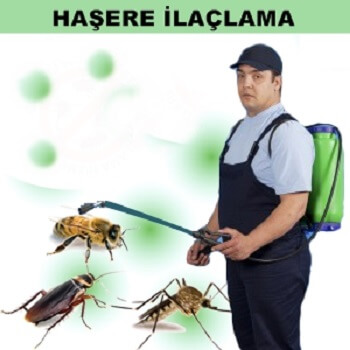Eynesil Böcek İlaçlama